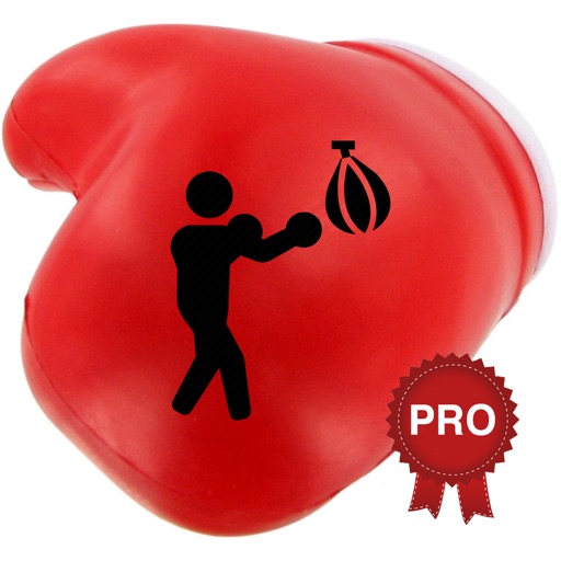 Boxing Challenge Workout PRO icon