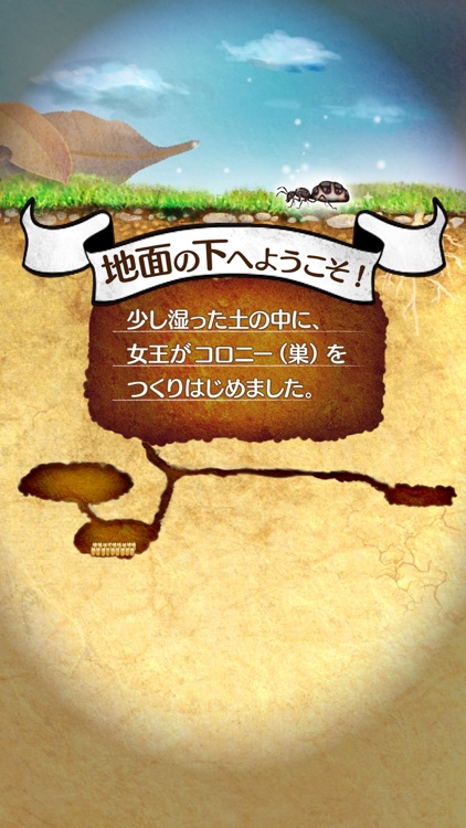 アリの巣コロニー - ほのぼの観察育成ゲーム screenshot-4