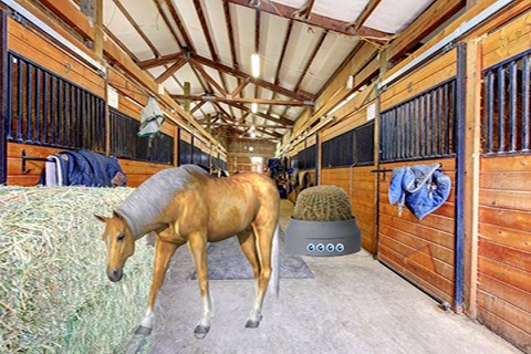 Locked Horse Farm Escape - náhled