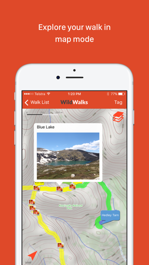 Wildwalks(圖4)-速報App