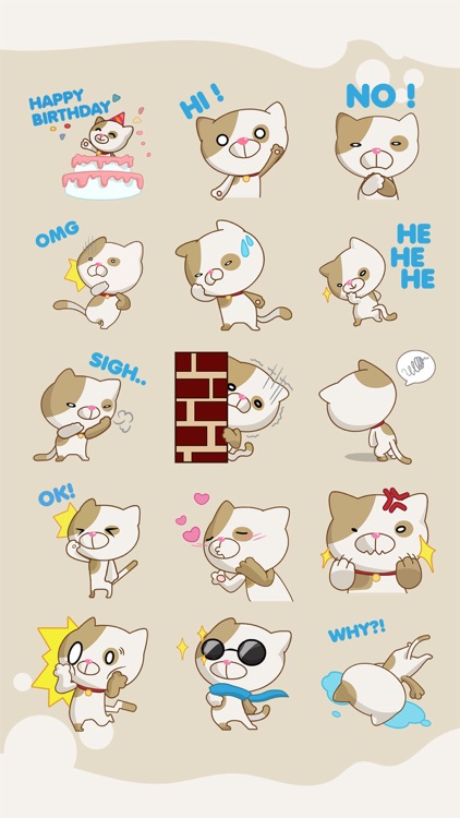 Choco Cat Animated Sticker screenshot-3