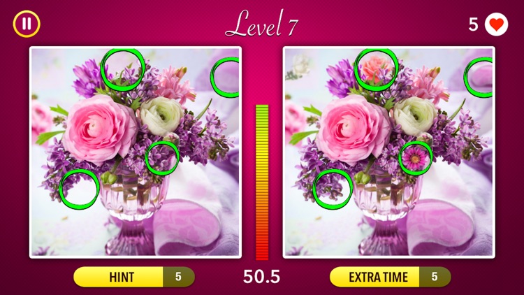 Spot the Difference! ~ Fun Puzzle Games screenshot-4