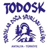 Todosk