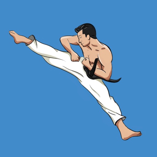 Mastering Taekwondo Training Icon