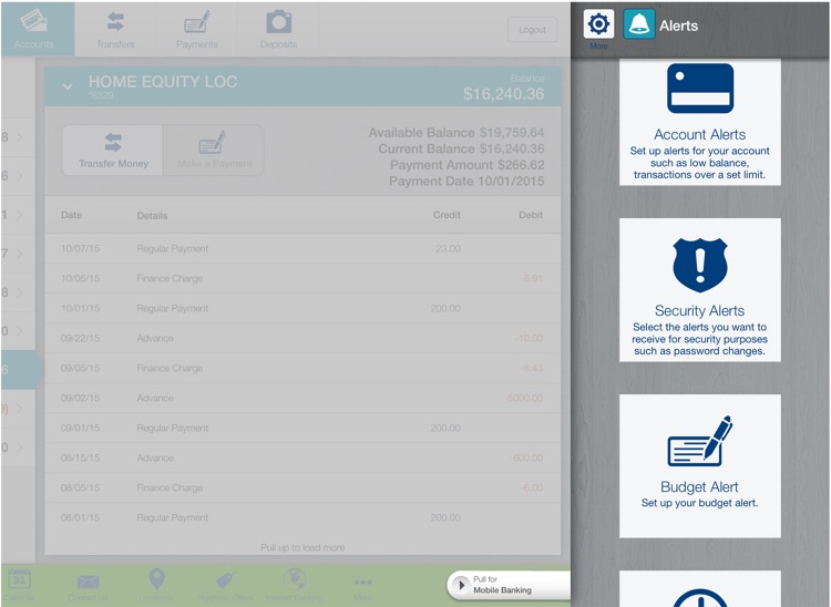 VyStar Mobile Banking for iPad screenshot-4
