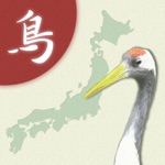 Japanese Birds