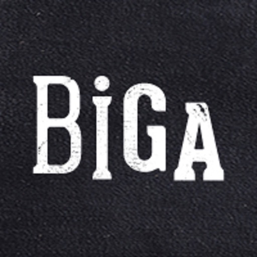 Biga, ביגה icon