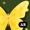 “Butterfly Tree” is an Augmented reality application that allows you to view art works from a different view