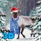 Christmas Deer Rudolph: Animal Survival 3D Full