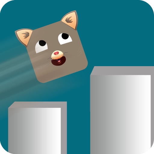 Kitty Jump Box - Animal Arcade Game Icon