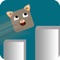 Kitty Jump Box - Animal Arcade Game