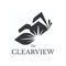 The Clearview - A Parent's Survival Kit