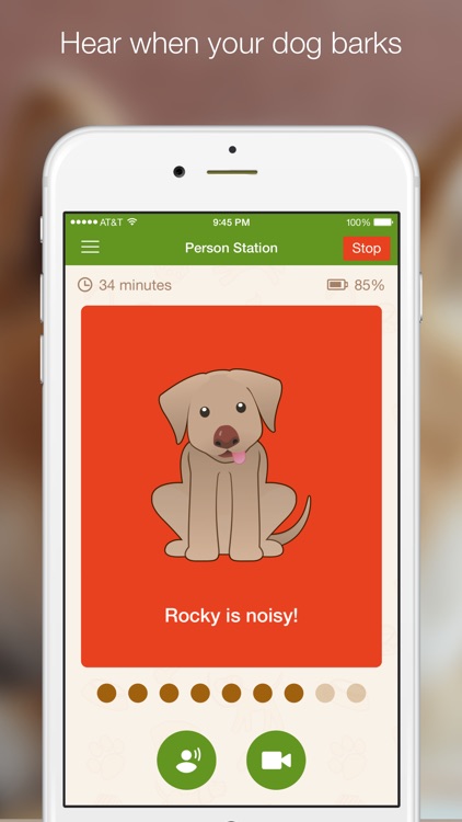 Dog Monitor