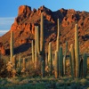 HD Arizona Wallpaeprs