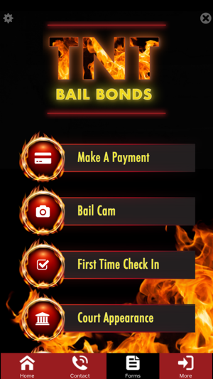 TNT Bail Bonds(圖3)-速報App