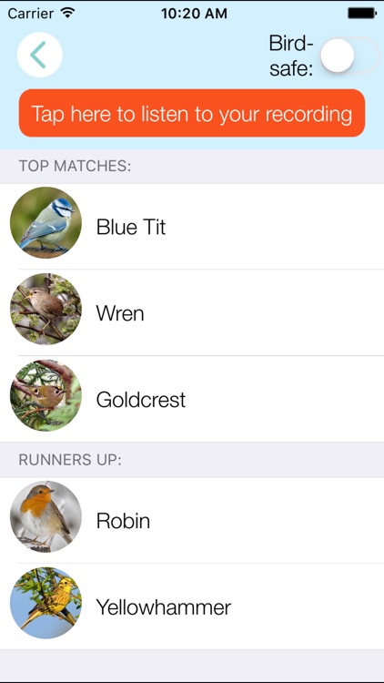 ChirpOMatic UK, Automatic Bird Song Recognition v2