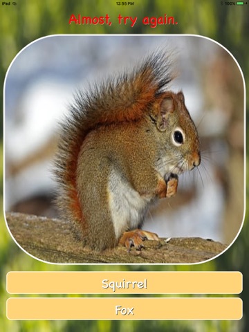 Animal Guessing Game screenshot 3