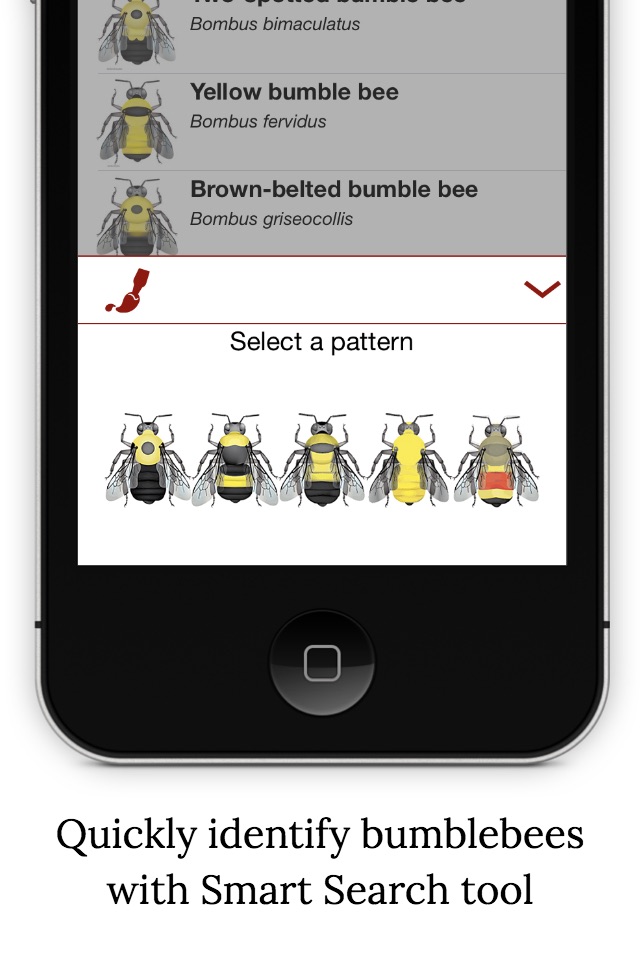 Bumble Bee Watch screenshot 3