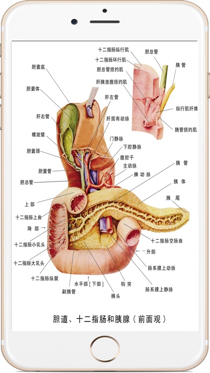 全套人体解剖 screenshot-3