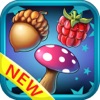 Icon Candy big blast : Jungle garden saga match games