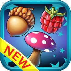 Activities of Candy big blast : Jungle garden saga match games