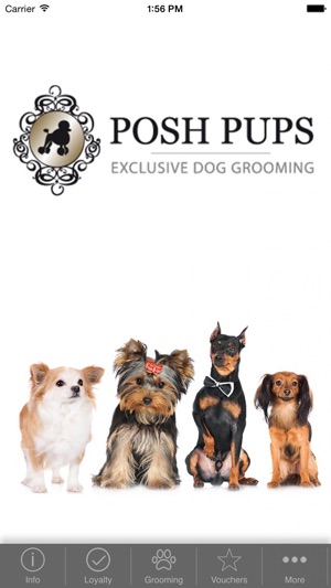 Posh Pups(圖1)-速報App