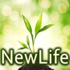 New Life Church of Christ