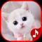 Ringtones Station proudly presents Cat Ringtones and Sounds - a collection of animal sounds, featuring cat ringtones free, kitty cat ringtones, meowing cat sounds, talking cat sound any many other ringtones and notifications