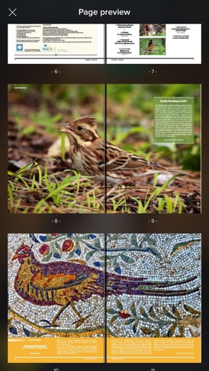 BirdLife International(圖4)-速報App