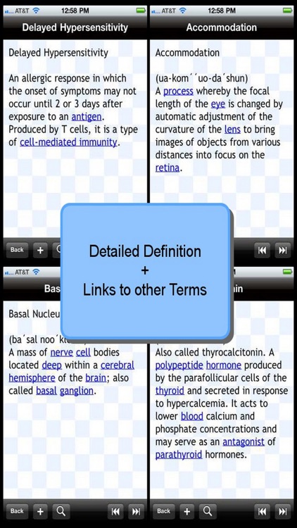 Anatomical Glossary