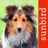 Get Hunde Id - Welcher Hund passt zu mir? Sunbird Ratgeber zur Auswahl der passenden Hunderasse for iOS, iPhone, iPad Aso Report