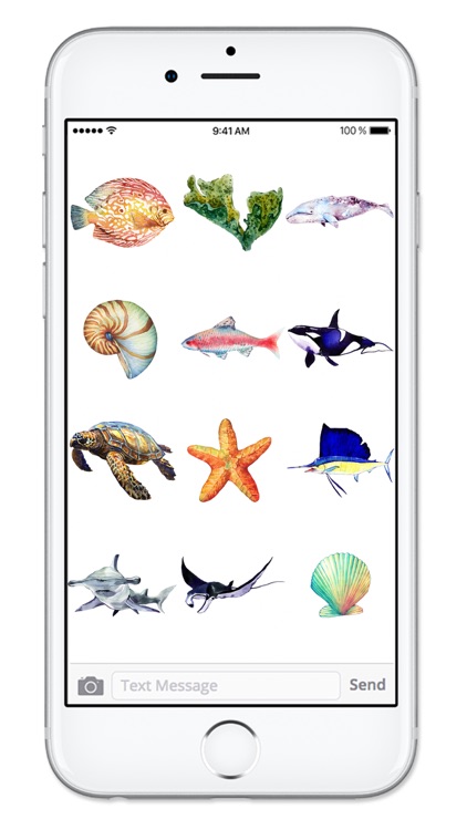 Watercolor Aquatic screenshot-4