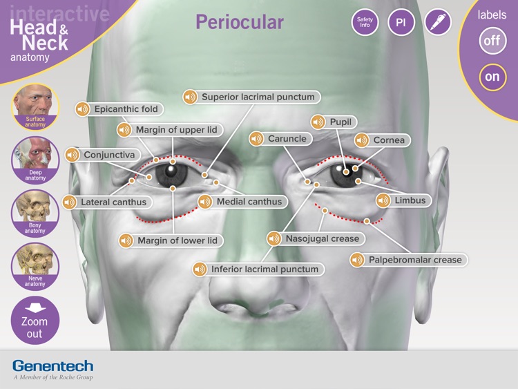 3D Facial Anatomy Tool screenshot-3