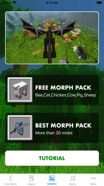 Morph Mod Minecraft APK for Android Download