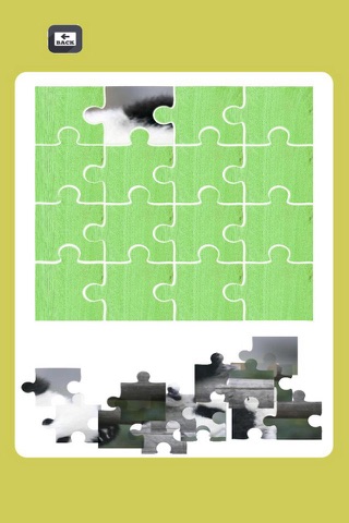 Panda - Puzzle Animals for Kids screenshot 2