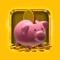 Is your piggy bank always empty