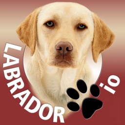 Labrador io (opoly)