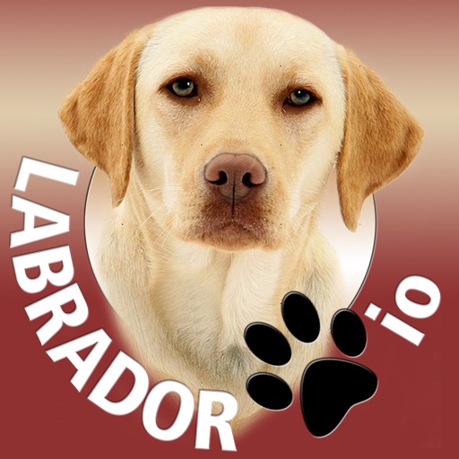 Labrador io (opoly)