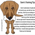 Top 50 Entertainment Apps Like Learning for dog training premium - Best Alternatives