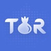 TOR Browser Private + VPN
