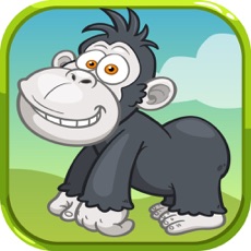 Activities of Memory Game For Kids & Adults - Animals Cool