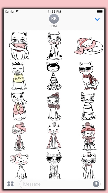 Sassy Cats