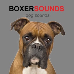 Boxer Dog Sounds & Barking