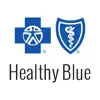 Healthy Blue App Feedback