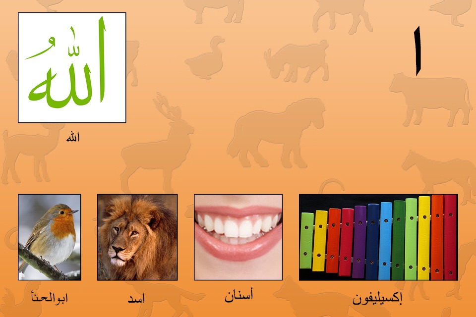 My First Book of Arabic HD screenshot 2