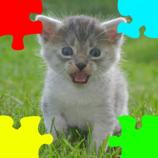 Kittens (Baby Cats) Jigsaw Puzzles Icon