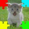 Kittens (Baby Cats) Jigsaw Puzzles