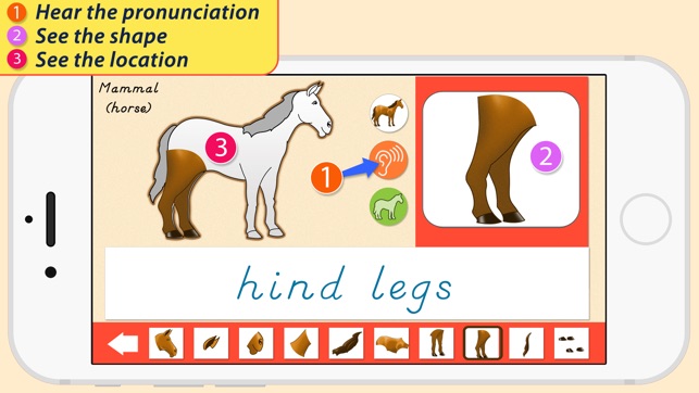 Parts Of Animals Vertebrates - Montessori Zoology(圖4)-速報App