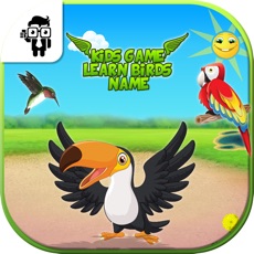 Activities of Kids Game Learn Birds Name