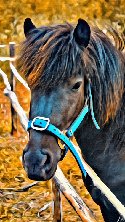 Portrait Painter